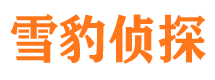 白玉侦探公司